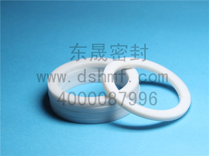 輔助密封件產(chǎn)品，擋圈