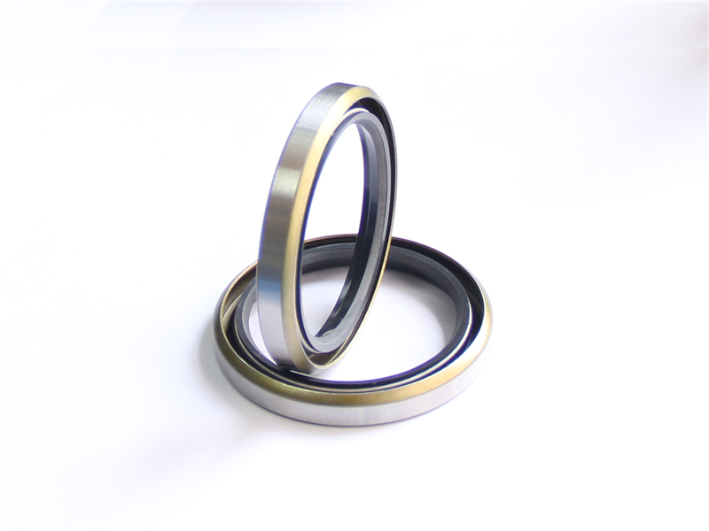 油封，浮動(dòng)，密封件，產(chǎn)品