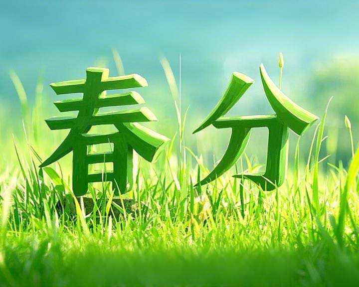 春分啟衡·東晟智封丨0.01毫米的陰陽相濟之道！