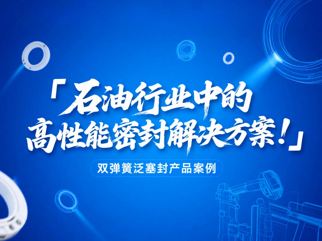 ?雙彈簧泛塞封產(chǎn)品案例 ? 石油行業(yè)中的高性能密封解決方案！?